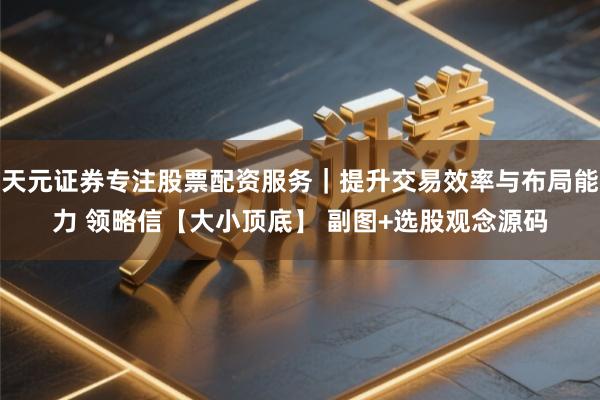 天元证券专注股票配资服务|提升交易效率与布局能力 领略信【大小顶底】 副图+选股观念源码