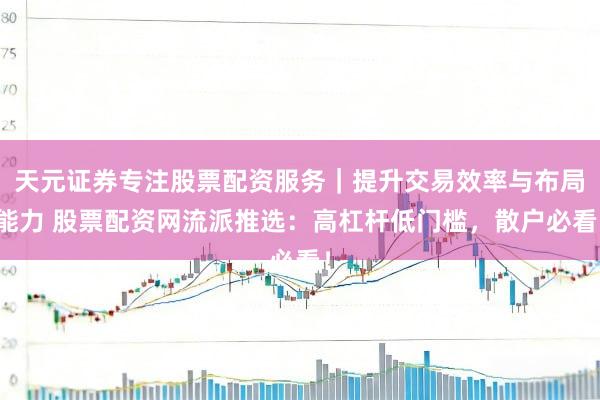 天元证券专注股票配资服务｜提升交易效率与布局能力 股票配资网流派推选：高杠杆低门槛，散户必看！