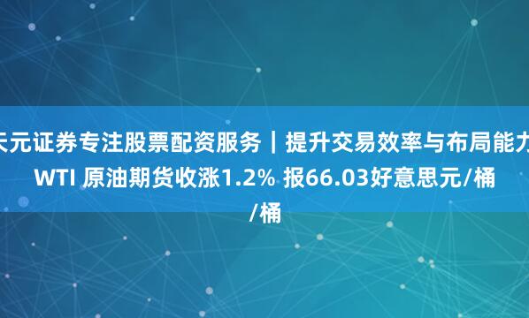 天元证券专注股票配资服务｜提升交易效率与布局能力 WTI 原油期货收涨1.2% 报66.03好意思元/桶