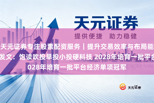 天元证券专注股票配资服务｜提升交易效率与布局能力 七部门重磅发文：饱读吹投早投小投硬科技 2028年培育一批平台经济单项冠军