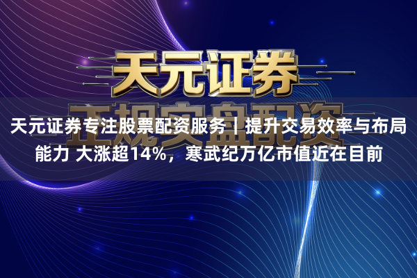 天元证券专注股票配资服务｜提升交易效率与布局能力 大涨超14%，寒武纪万亿市值近在目前