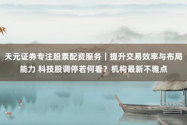 天元证券专注股票配资服务｜提升交易效率与布局能力 科技股调停若何看？机构最新不雅点